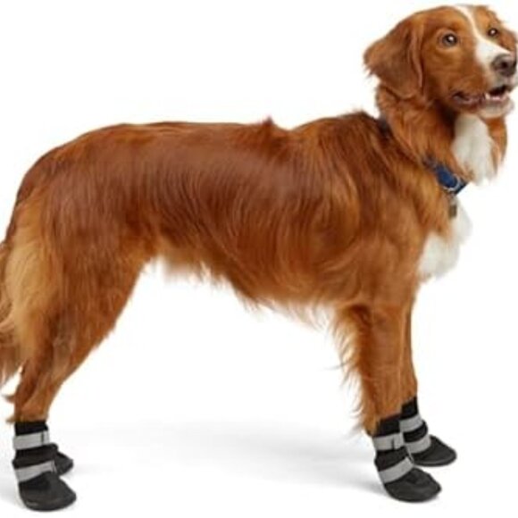 Dog Boots, Small, Reflective All-weather Water-resistant - Picture 4 of 5